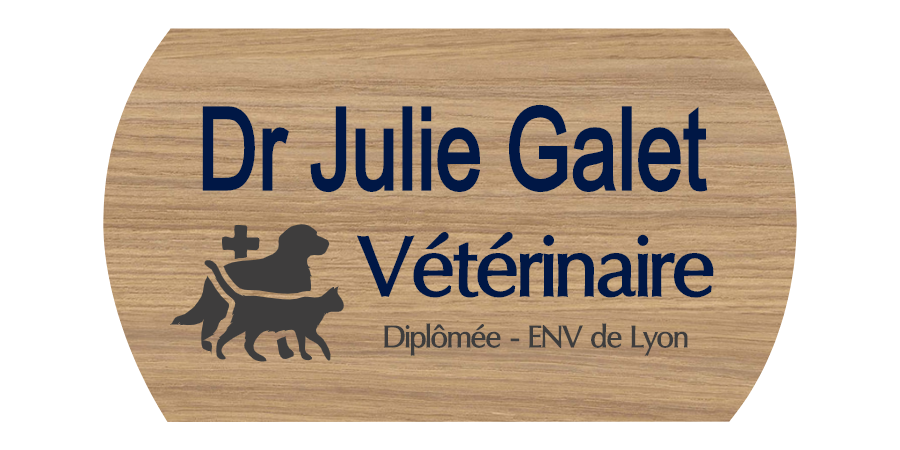 Plaque professionnelle transparente Dr Vétérinaire Rouge (Droit)