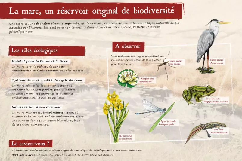 Panneaux P dagogiques Nature 1Signe Pic Bois Panneaux P dagogiques Nature 1Signe Pic Bois