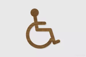 Pictogramme - Handicap