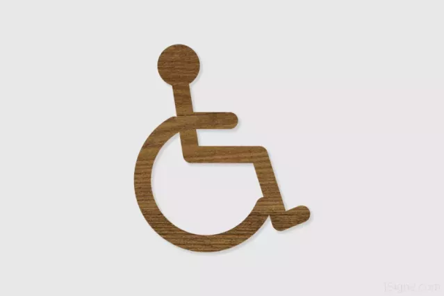 Pictogramme - Handicap