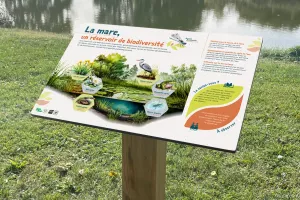 Table de lecture pédagogique | La mare